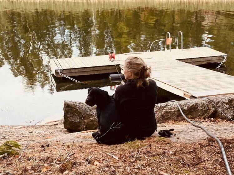 Hund och kvinna vid strand